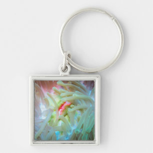 Multicolored Sea Anemone Key Ring
