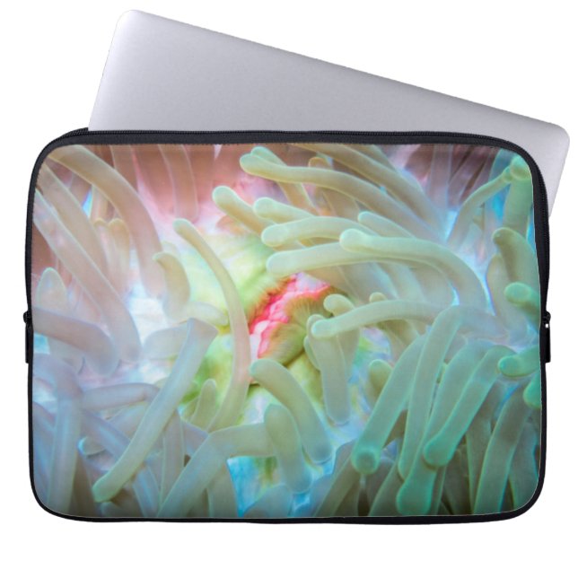 Multicolored Sea Anemone Laptop Sleeve (Front)