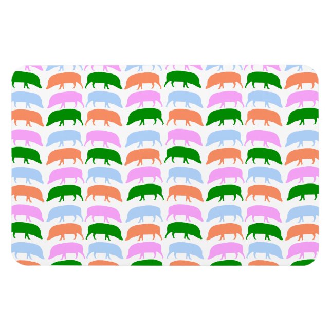 Multicoloured Hogs Pink Blue Green Orange Premiu Magnet (Horizontal)