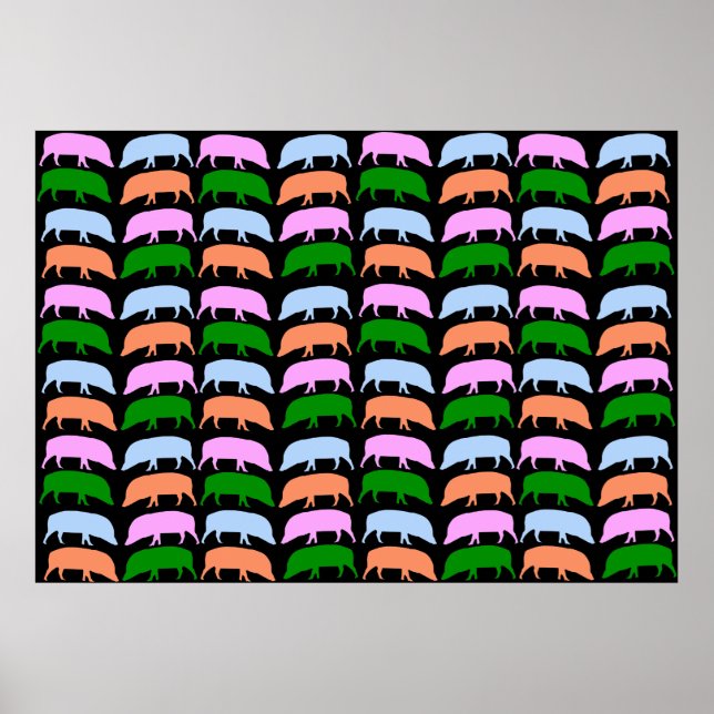 Multicoloured Hogs Poster (Front)