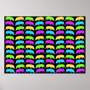 Multicoloured Hogs Poster