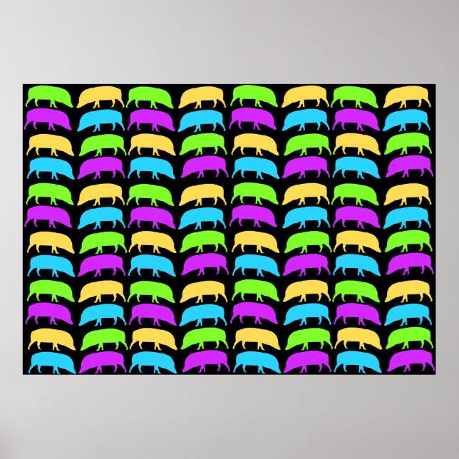 Multicoloured Hogs Poster (Front)