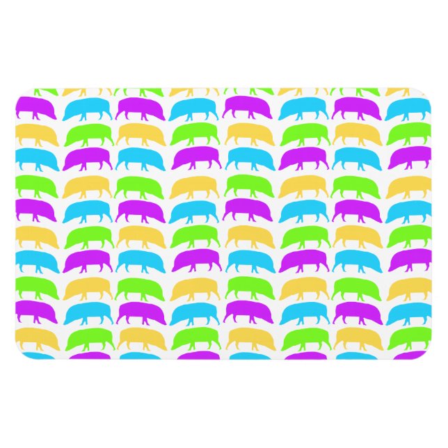 Multicoloured Hogs Yellow Green Purple Blue Premiu Magnet (Horizontal)