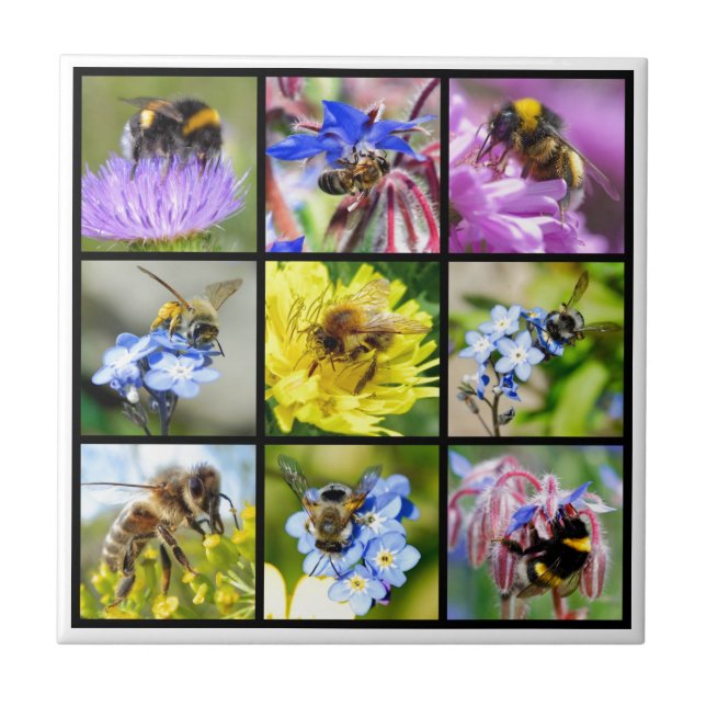 Multiple bees and bumblebees ceramic tile (Front)
