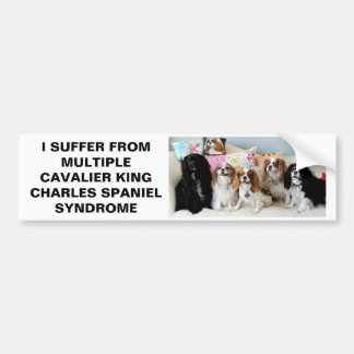 Multiple Cavalier King Charles Syndrome Bumper St Sticker