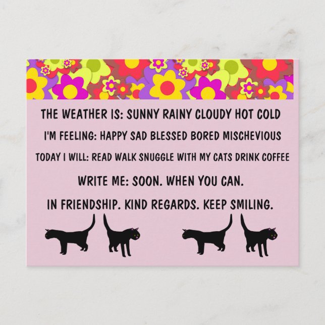 MULTIPLE CHOICE CAT POSTCARDS FOR BUSY PERSON (Front)