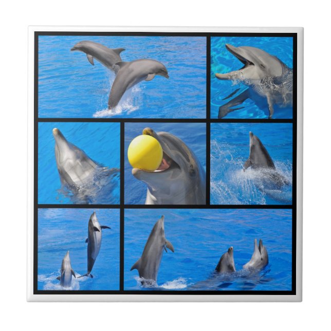 Multiple photos of dolphins ceramic tile (Front)