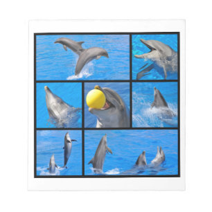 Multiple photos of dolphins notepad