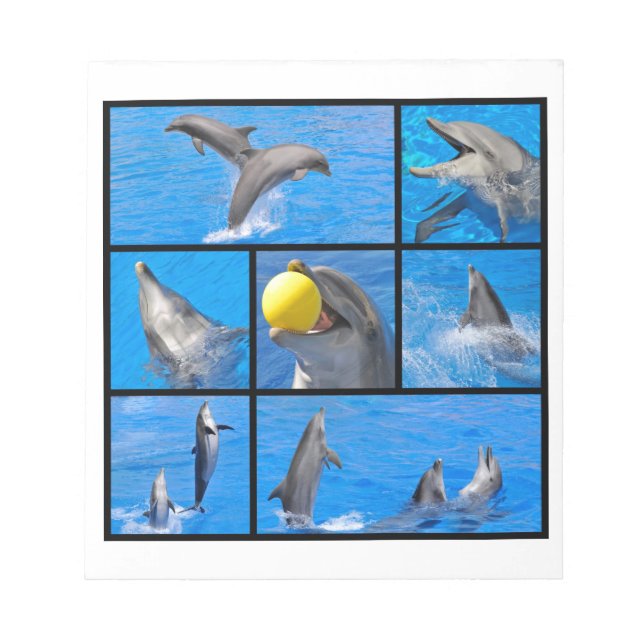 Multiple photos of dolphins notepad (Front)