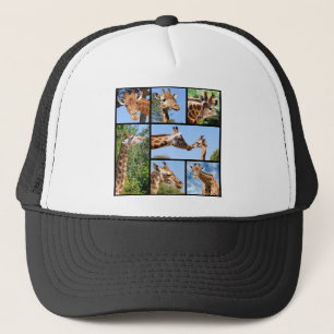 Multiple photos of giraffes trucker hat
