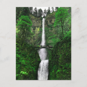 Multnomah Falls #2-2 Postcard 