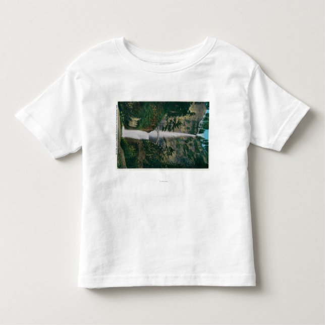 Multnomah Falls and Benson Foot Bridge 2 Toddler T-Shirt (Front)