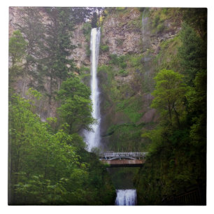 Multnomah Falls Bridge Repair Ceramic Tile