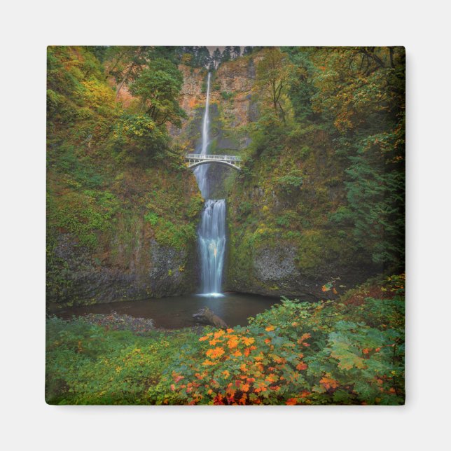 Multnomah Falls | Columbia River Gorge, Oregon Magnet (Front)