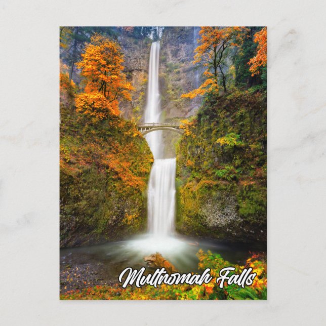 Multnomah Falls, Columbia River Gorge, Oregon Postcard (Front)