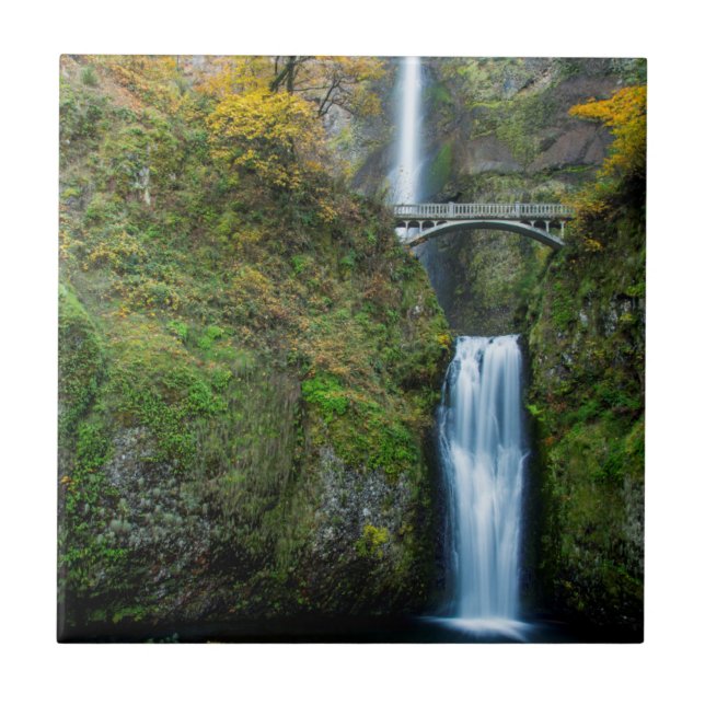 Multnomah Falls In Autumn In The Columbia Gorge Tile (Front)
