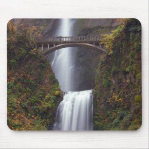 Multnomah Falls in late Autumn Mouse Pad
