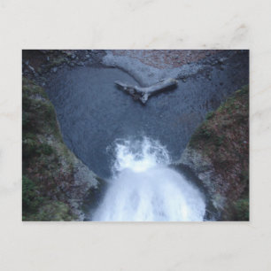 Multnomah Falls Looking Down Postcard