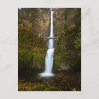 Multnomah Falls • Oregon Post Card