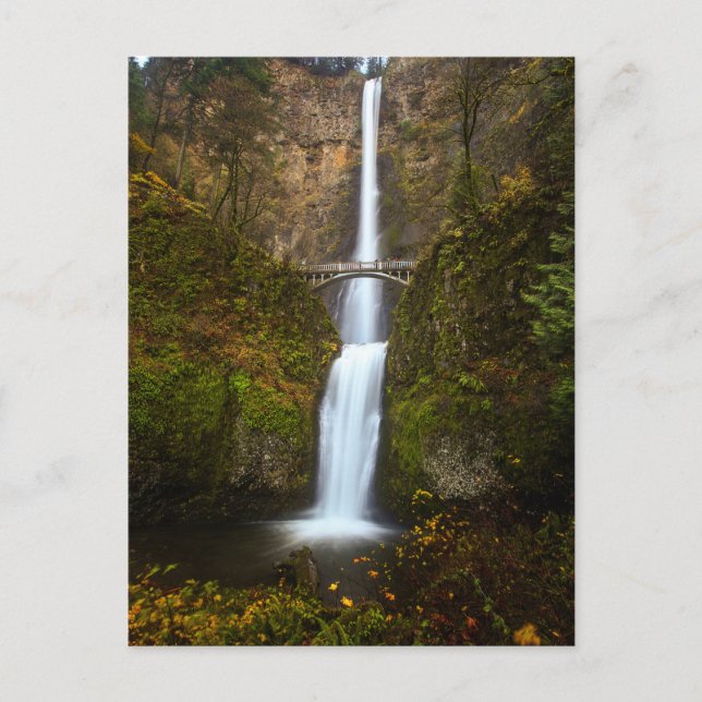 Multnomah Falls • Oregon Post Card (Front)