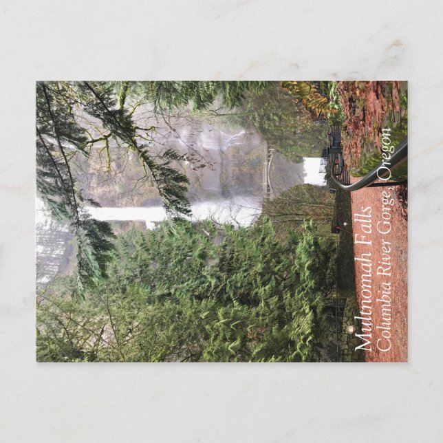 Multnomah Falls, Oregon Postcard (Front)