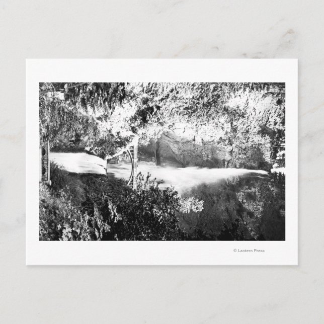 Multnomah Falls PhotographColumbia River, OR Postcard (Front)