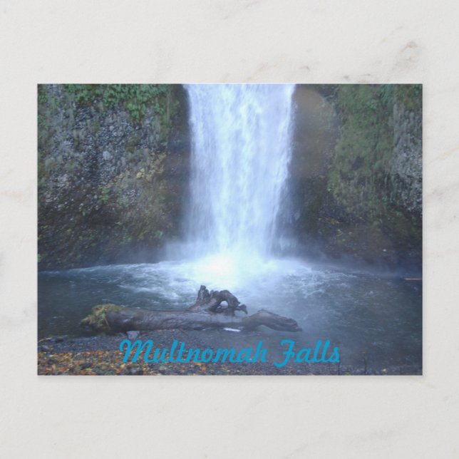 Multnomah Falls Postcard (Front)