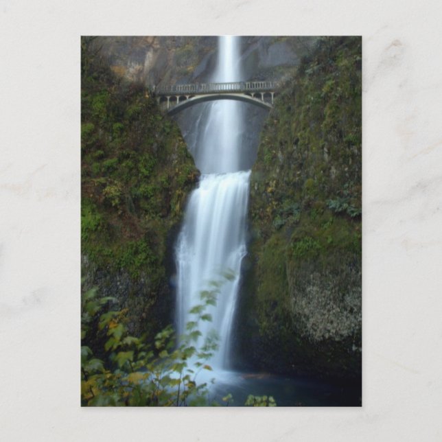 Multnomah Falls Postcard (Front)