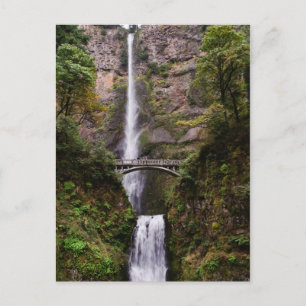 Multnomah Falls Postcard