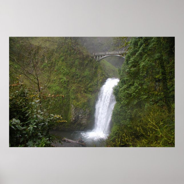 Multnomah Falls Poster (Front)
