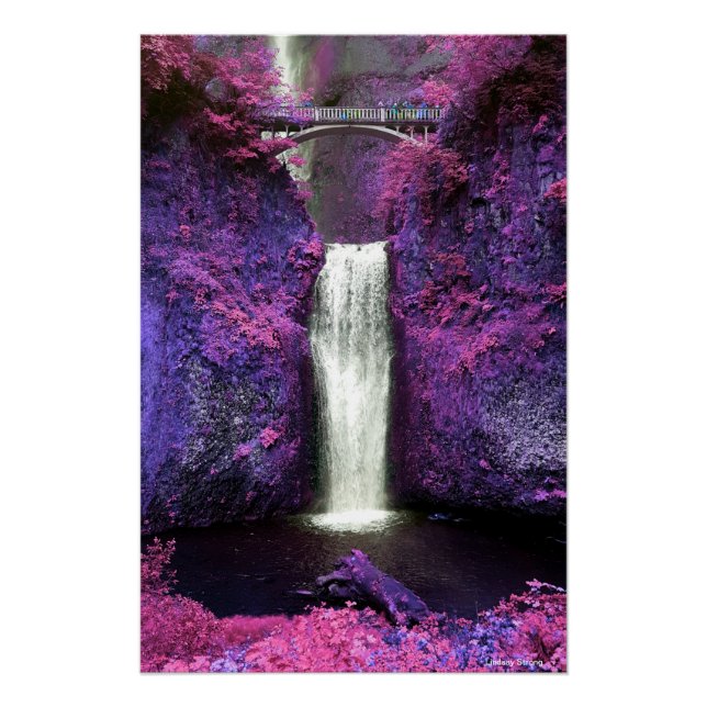 Multnomah Falls Poster 18.67" x 28" (Front)