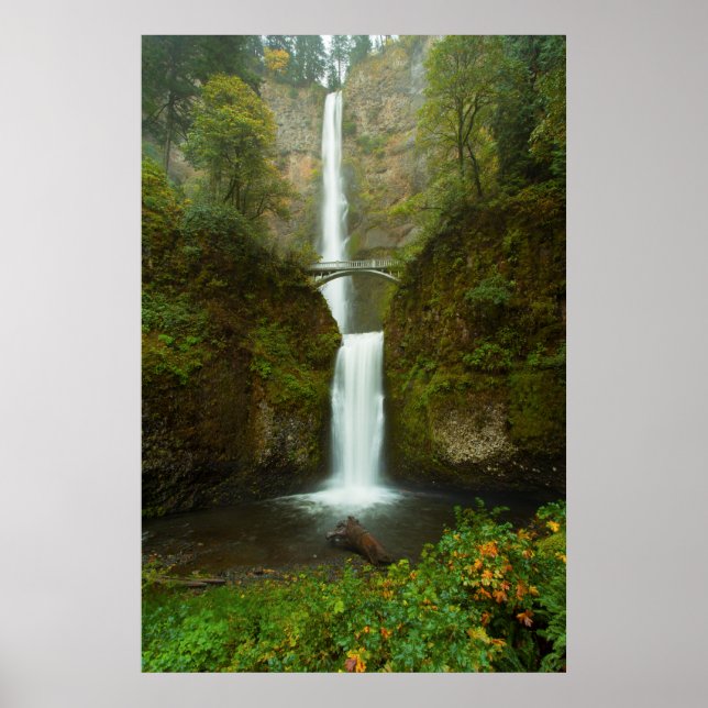 Multnomah Falls Waterfall Photo Print (Front)