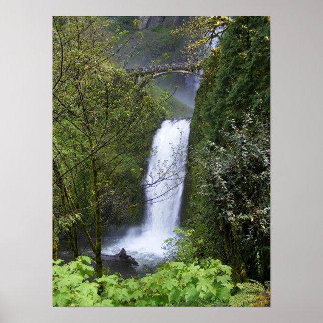 Multnomah Waterfall Poster (Front)
