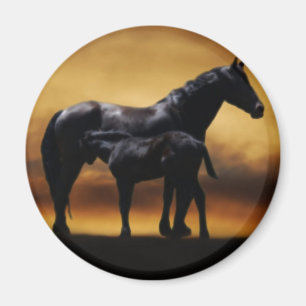 Mum and Baby colt Magnet