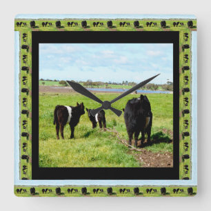 Mum And Baby Galloway Cows Framed, Square Wall Clock