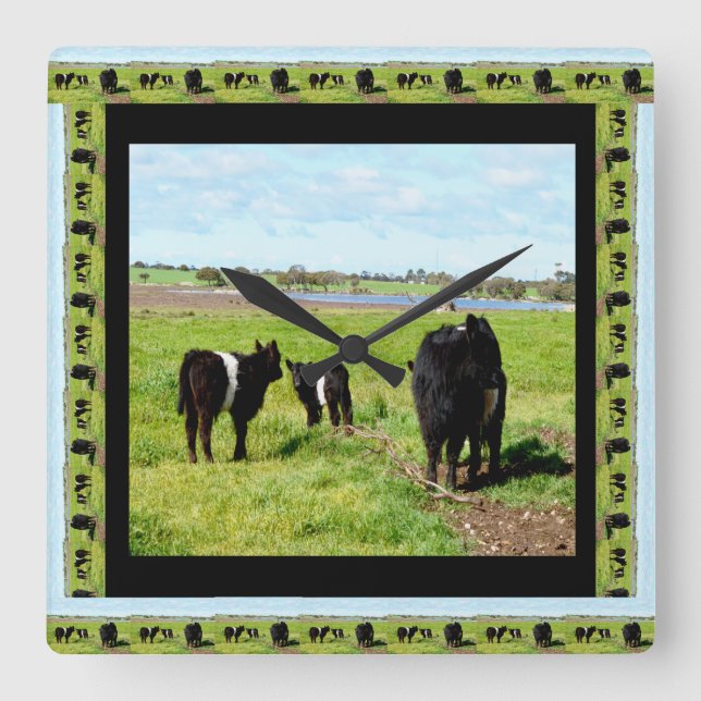 Mum And Baby Galloway Cows Framed, Square Wall Clock (Front)