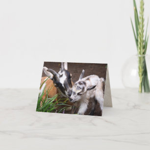 Mum and Baby Goat Card
