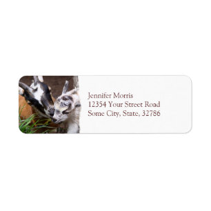 Mum and Baby Goat Return Address Label