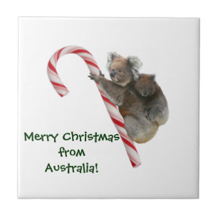 Mum and Joey Koala Candy Cane Christmas Tile