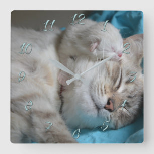 Mum and son kittens square wall clock