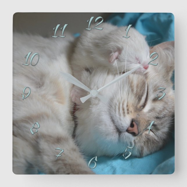 Mum and son kittens square wall clock (Front)