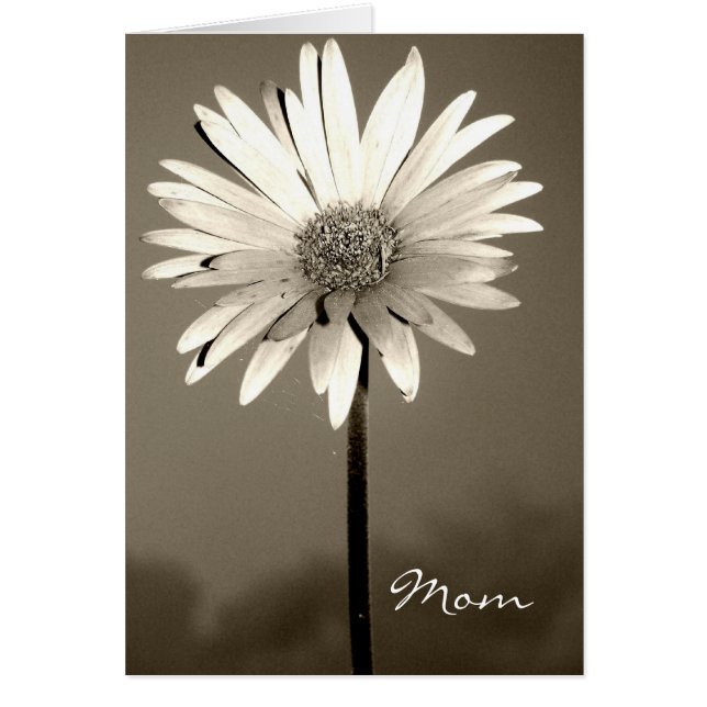 Mum Flower Card (Front)