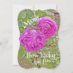 Mum, How Lucky Am I?/roses/Mother's Day