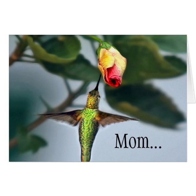 Mum Hummingbird (Front Horizontal)
