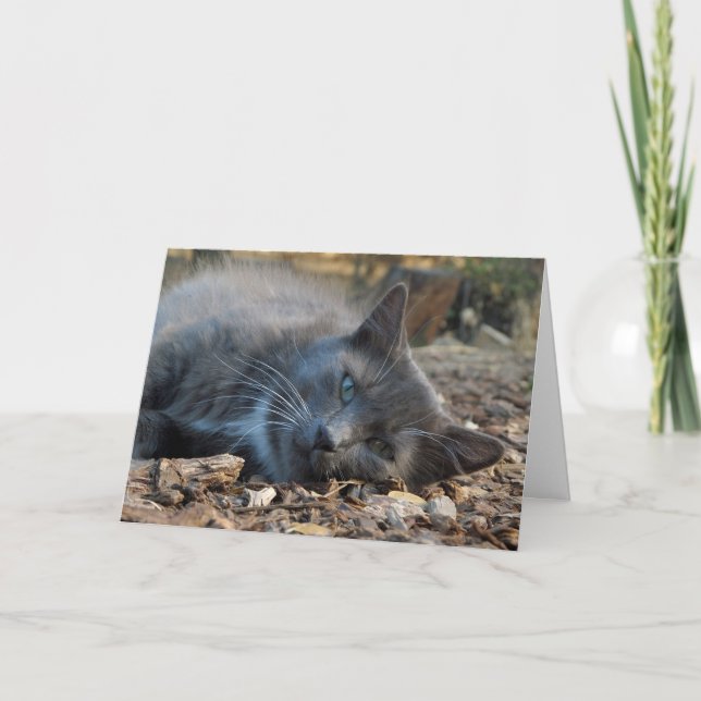 Mum is Loved Adorable Cat Mother's Day Card (Front)