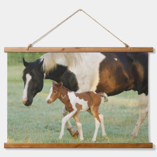 Mum & Newborn Paint Filly Hanging Tapestry