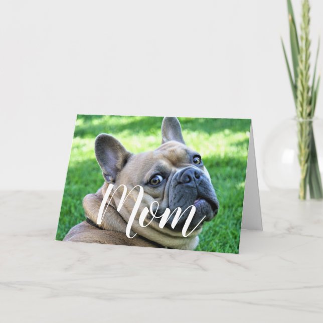 Mum Pet Photo Funny Mothers Day Cute Dog Mum Card (Front)