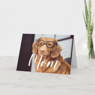 Mum Pet Photo Happy Mothers Day Cute Funny Dog Mum Card