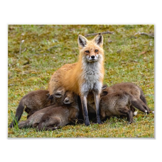  Mum Provides A Family Meal Photo Print (Front)