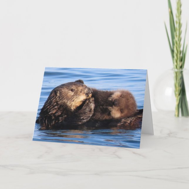 Mum Sea Otter and her Adorable Pup Card (Front)